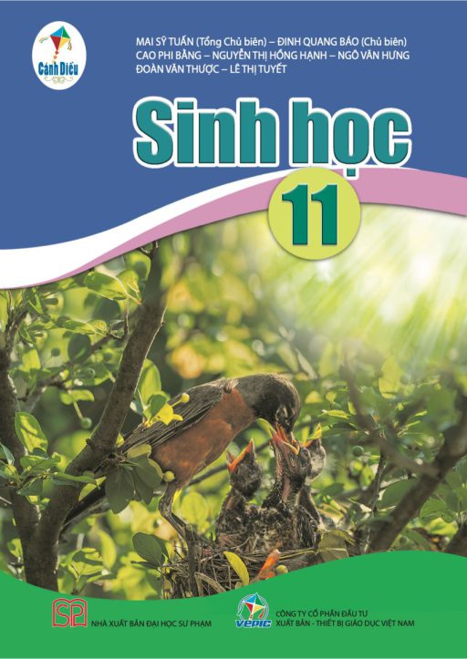 Hình ảnh sách